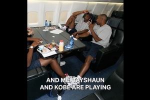 里德：教科比玩多米诺骨牌 他对生活充满好奇 也想融入团队